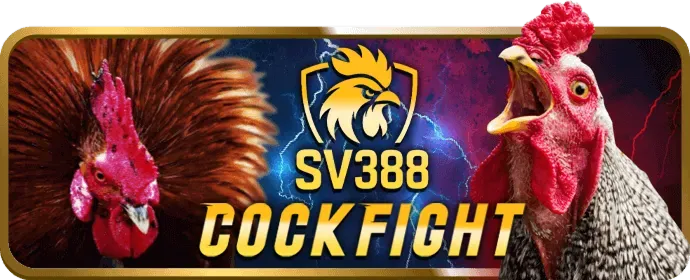 Bảo mật tối ưu f8bey